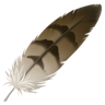 feather